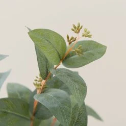 Artificial Green Seeded Eucalyptus Stem -DUNELM Furniture Shop 30897551 alt02