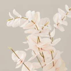 Artificial Cream Eucalyptus Stem -DUNELM Furniture Shop 30897553 alt02