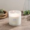 Eucalyptus Multi Wick Candle -DUNELM Furniture Shop 30897698