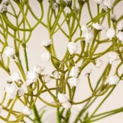 Set Of 3 Artificial Gypsophila Bundles In Glass Bottle Vases -DUNELM Furniture Shop 30901244 alt05