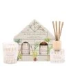 The Cottage Garden Orange Blossom Diffuser & Candle Gift Set -DUNELM Furniture Shop 30903288