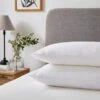 Luxury TENCEL™ Blend Back Sleeper Pillow Pair -DUNELM Furniture Shop 30910765
