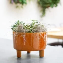 Pisa Bowl Plant Pot -DUNELM Furniture Shop 30911871 alt02