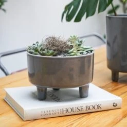 Pisa Bowl Plant Pot -DUNELM Furniture Shop 30911873 alt01