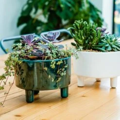 Pisa Bowl Plant Pot -DUNELM Furniture Shop 30911875 alt01