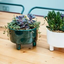 Pisa Bowl Plant Pot -DUNELM Furniture Shop 30911875 alt04