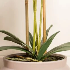 Artificial White Phalaenopsis Orchid In Taupe Ceramic Plant Pot -DUNELM Furniture Shop 30913545 alt02