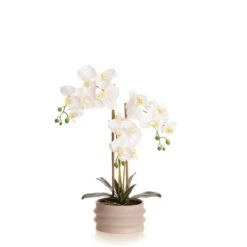 Artificial White Phalaenopsis Orchid In Taupe Ceramic Plant Pot -DUNELM Furniture Shop 30913545 alt03