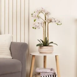 Artificial White Speckled Orchid In Beige Ceramic Plant Pot -DUNELM Furniture Shop 30913547