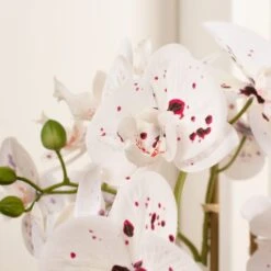 Artificial White Speckled Orchid In Beige Ceramic Plant Pot -DUNELM Furniture Shop 30913547 alt01