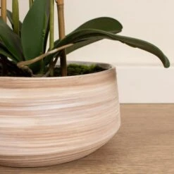 Artificial White Speckled Orchid In Beige Ceramic Plant Pot -DUNELM Furniture Shop 30913547 alt02