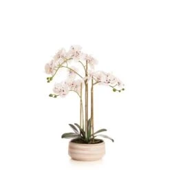 Artificial White Speckled Orchid In Beige Ceramic Plant Pot -DUNELM Furniture Shop 30913547 alt03