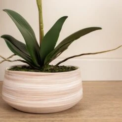 Artificial White Speckled Orchid In Beige Ceramic Plant Pot -DUNELM Furniture Shop 30913548 alt02