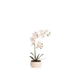 Artificial White Speckled Orchid In Beige Ceramic Plant Pot -DUNELM Furniture Shop 30913548 alt03