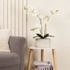 Artificial White Phalaenopsis Orchid In Oval Ceramic Plant Pot -DUNELM Furniture Shop 30913551