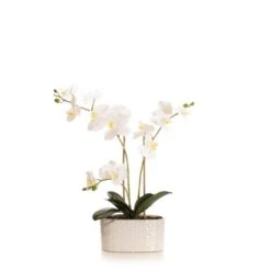 Artificial White Phalaenopsis Orchid In Oval Ceramic Plant Pot -DUNELM Furniture Shop 30913551 alt04