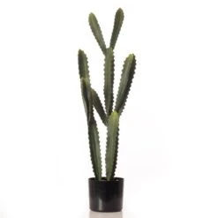 Artificial Euphorbia Cactus In Black Plastic Plant Pot -DUNELM Furniture Shop 30913568 alt03
