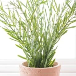 Artificial Rosemary In Orange Cement Plant Pot -DUNELM Furniture Shop 30918337 alt02