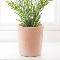 Artificial Rosemary In Orange Cement Plant Pot -DUNELM Furniture Shop 30918337 alt03