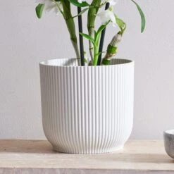 Dendrobium Bamboo Orchid House Plant In Vibes Pot -DUNELM Furniture Shop 30920698 alt02