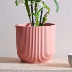 Dendrobium Bamboo Orchid House Plant In Vibes Pot -DUNELM Furniture Shop 30920699 alt02