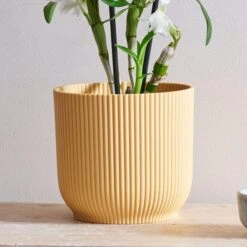Dendrobium Bamboo Orchid House Plant In Vibes Pot -DUNELM Furniture Shop 30920700 alt02