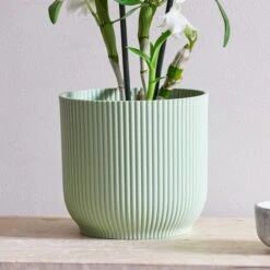 Dendrobium Bamboo Orchid House Plant In Vibes Pot -DUNELM Furniture Shop 30920702 alt02