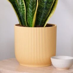 Snake House Plant In Elho Pot -DUNELM Furniture Shop 30920754 alt02