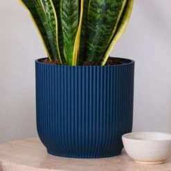 Snake House Plant In Elho Pot -DUNELM Furniture Shop 30920755 alt02