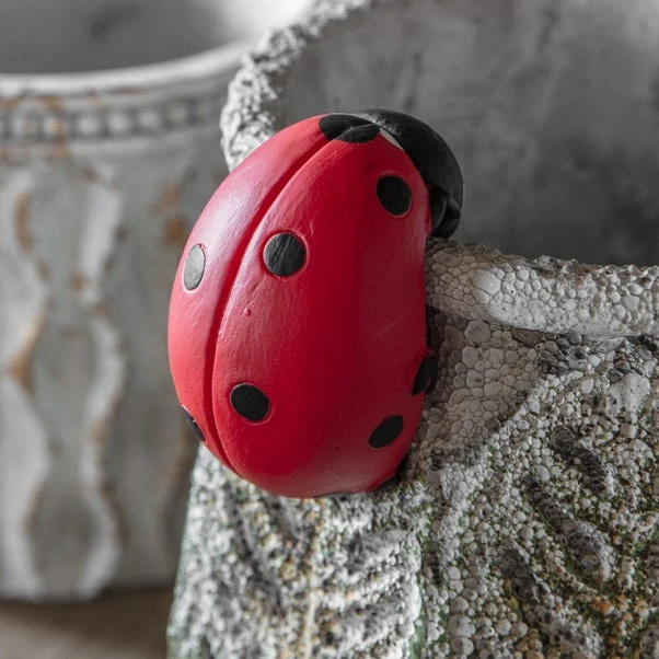 Set Of 2 Layla Ladybird Pot Hangers 5 Set Of 2 Layla Ladybird Pot Hangers - Image 3