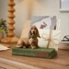 Humphrey Hound Dog Letter Rack -DUNELM Furniture Shop 30922885