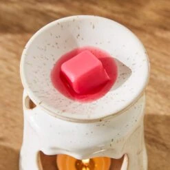 Set Of 6 Dragonfruit & Lychee Wax Melts -DUNELM Furniture Shop 30924793 alt01