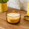 Honey & Buttercup Multi Wick Candle -DUNELM Furniture Shop 30924801
