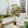 Artificial Purple Bougainvillea Tree In Black Plastic Plant Pot -DUNELM Furniture Shop 30926167