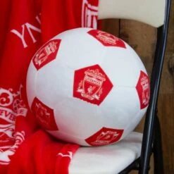 Liverpool Football Club 3D Cushion -DUNELM Furniture Shop 30931073 alt02