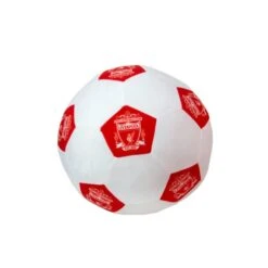 Liverpool Football Club 3D Cushion -DUNELM Furniture Shop 30931073 alt04