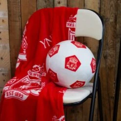 Liverpool Football Club 3D Cushion -DUNELM Furniture Shop 30931073 alt09