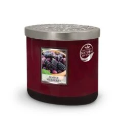 Heart And Home Ellipse Simply Mulberry Multi Wick Candle -DUNELM Furniture Shop 30933013 alt02