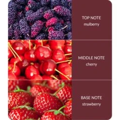 Heart And Home Ellipse Simply Mulberry Multi Wick Candle -DUNELM Furniture Shop 30933013 alt03