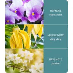 Heart And Home Ellipse Simply Spa Multi Wick Candle -DUNELM Furniture Shop 30933016 alt03