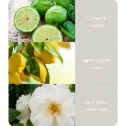 Heart And Home Ellipse Guardian Angel Multi Wick Candle -DUNELM Furniture Shop 30933020 alt03