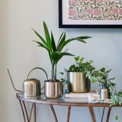 Kew Matt Brass Plant Mister -DUNELM Furniture Shop 30937030 alt02