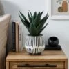 Artificial Agave Plant In Monochrome Striped Plant Pot -DUNELM Furniture Shop 30958614