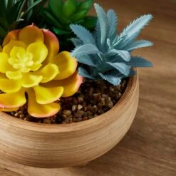 Artificial Succulents In Terracotta Footed Plant Pot -DUNELM Furniture Shop 30958642 alt01