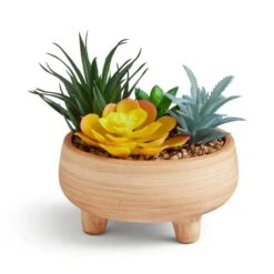 Artificial Succulents In Terracotta Footed Plant Pot -DUNELM Furniture Shop 30958642 alt02
