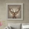 Deep In Thought Stag Framed Print -DUNELM Furniture Shop 30958847