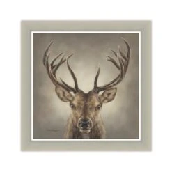 Deep In Thought Stag Framed Print -DUNELM Furniture Shop 30958847 alt01