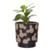 Artificial Plant In Disney Mickey Mouse Black Ceramic Plant Pot -DUNELM Furniture Shop 30963244
