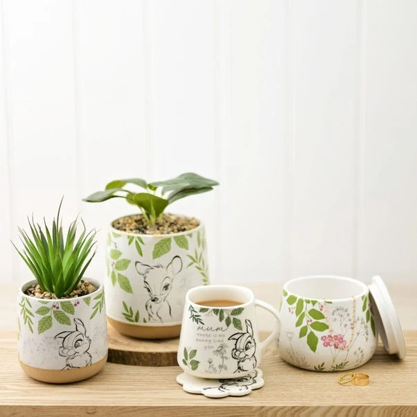 Set Of 2 Artificial Succulents In Disney Bambi Plant Pots 9 Set Of 2 Artificial Succulents In Disney Bambi Plant Pots - Image 7