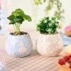 Set Of 2 Artificial Plants In Disney Alice In Wonderland Plant Pots -DUNELM Furniture Shop 30963286